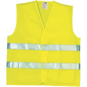 Protecția corpului